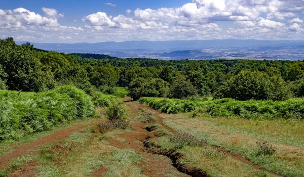 Aydat → Saint-Nectaire