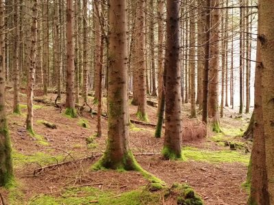 Protection de la biodiversité