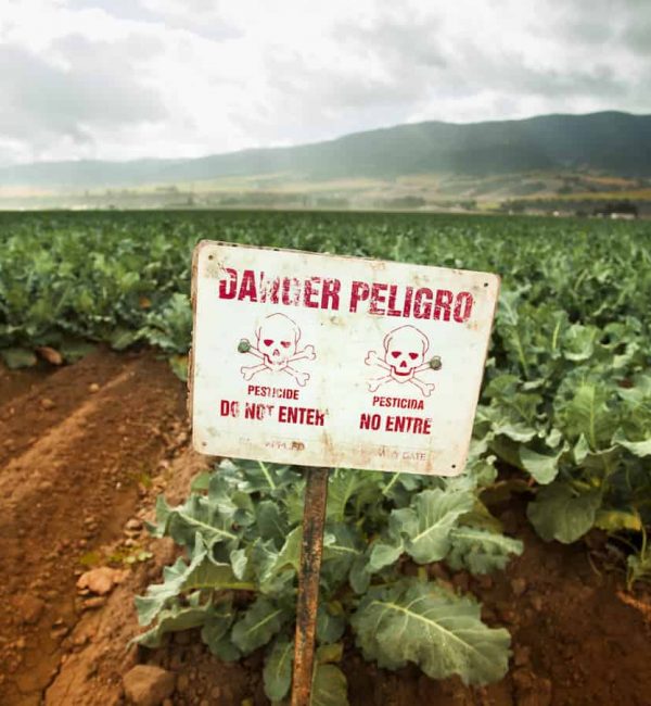 Food-Tank-United-Nations-Pesticide-Report
