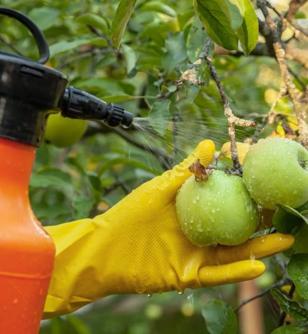 apples-pesticides-chemicals_jpg